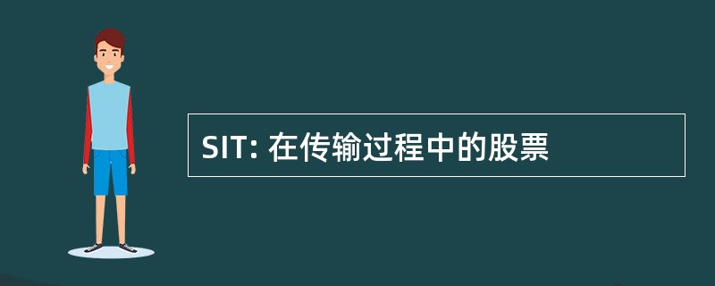 SIT: 在传输过程中的股票