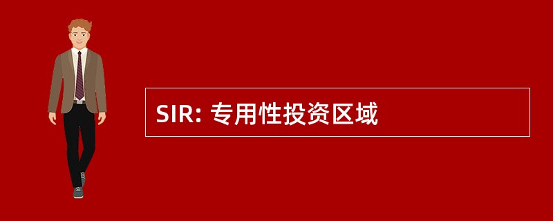 SIR: 专用性投资区域