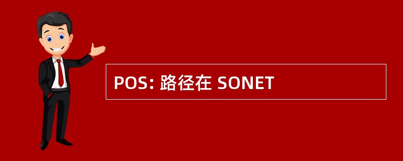 POS: 路径在 SONET