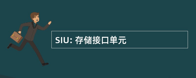 SIU: 存储接口单元