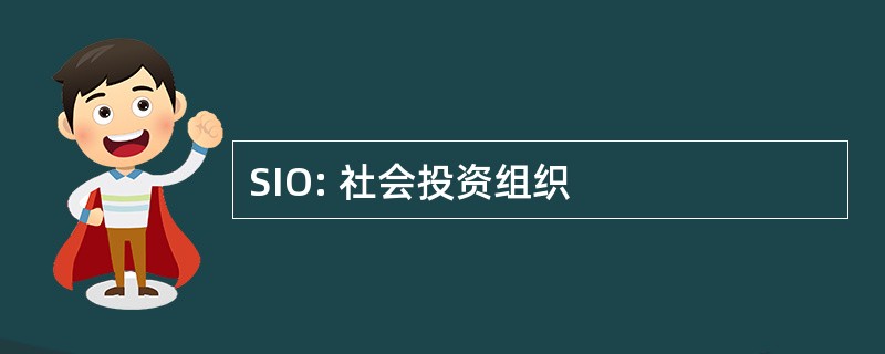 SIO: 社会投资组织