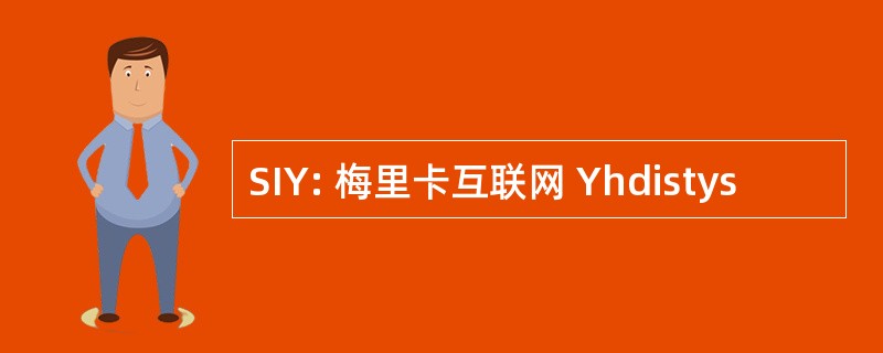 SIY: 梅里卡互联网 Yhdistys