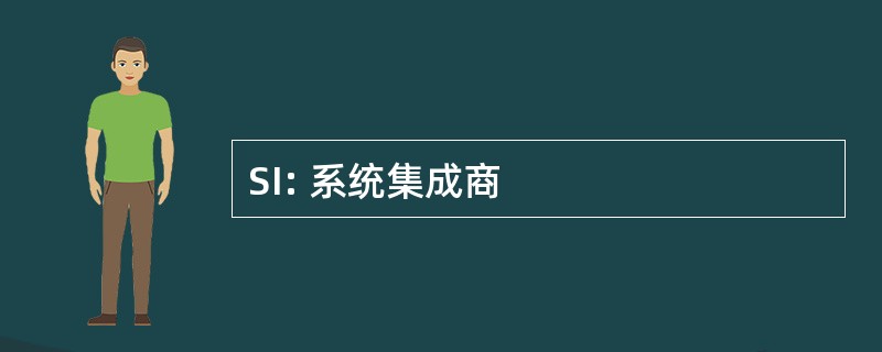 SI: 系统集成商