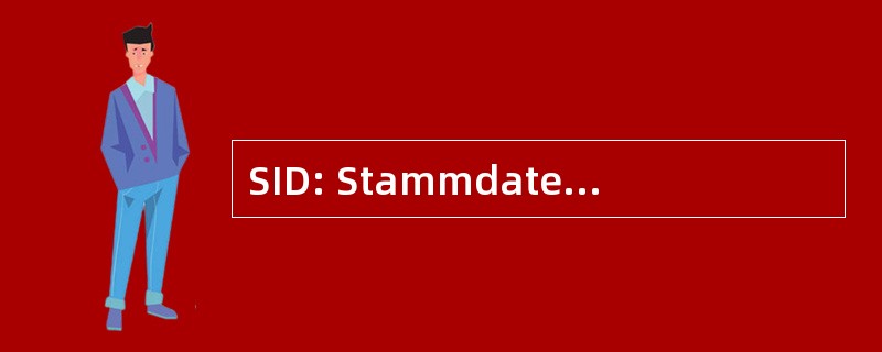 SID: Stammdaten Identifikationsnummer