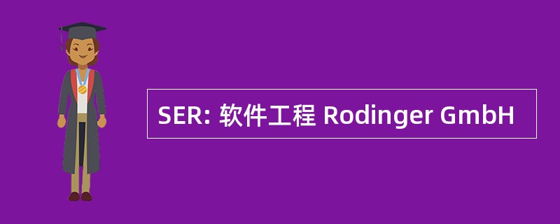 SER: 软件工程 Rodinger GmbH