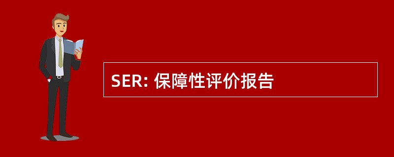 SER: 保障性评价报告