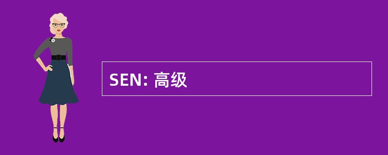 SEN: 高级