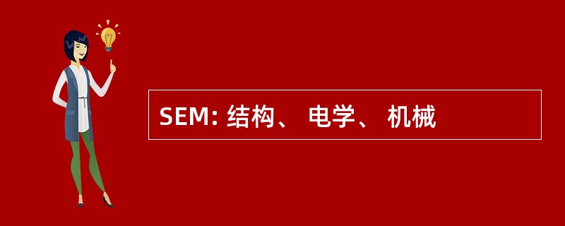 SEM: 结构、 电学、 机械