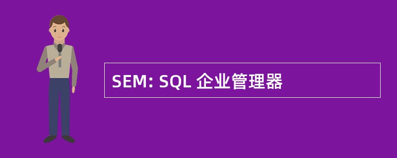 SEM: SQL 企业管理器