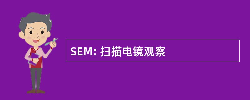 SEM: 扫描电镜观察