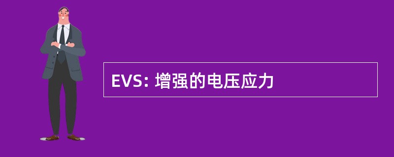 EVS: 增强的电压应力