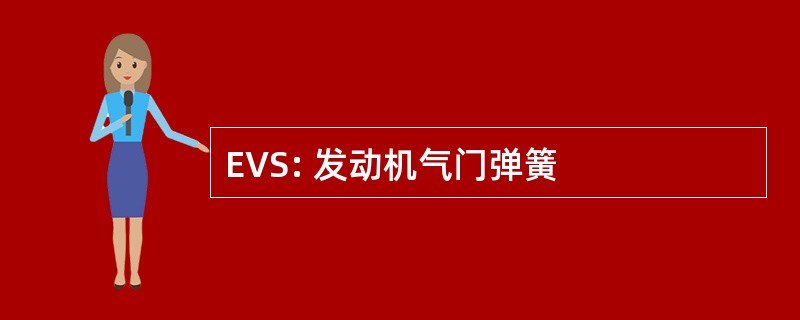 EVS: 发动机气门弹簧