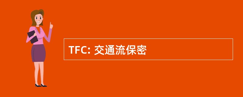 TFC: 交通流保密