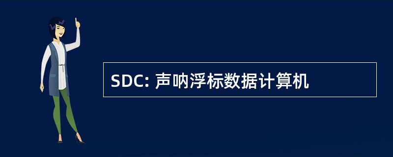 SDC: 声呐浮标数据计算机