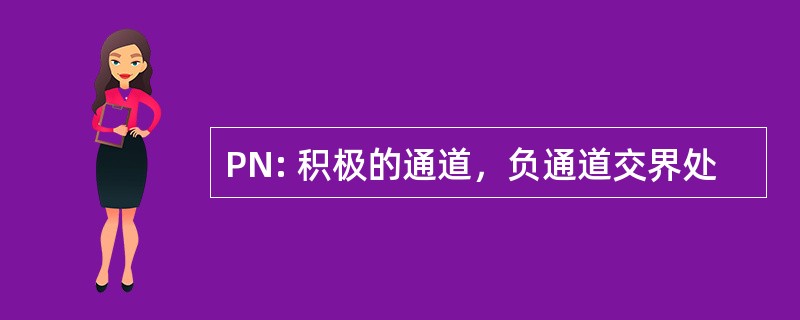 PN: 积极的通道，负通道交界处