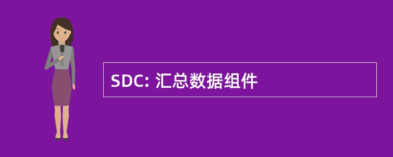 SDC: 汇总数据组件