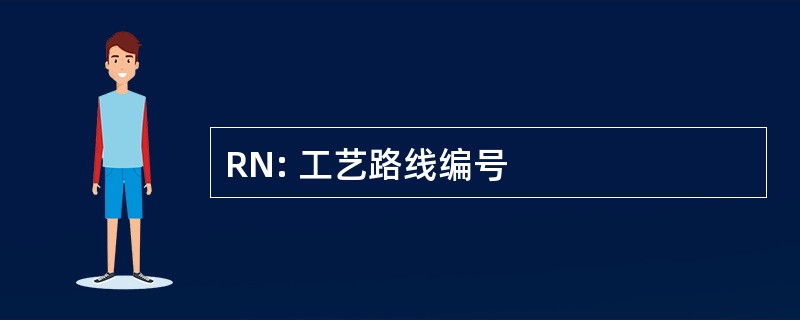 RN: 工艺路线编号