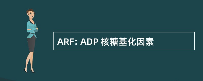 ARF: ADP 核糖基化因素