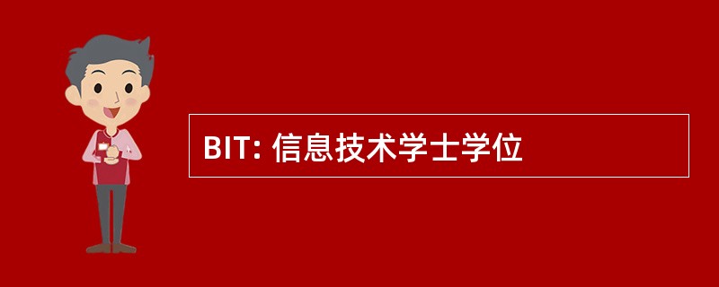 BIT: 信息技术学士学位