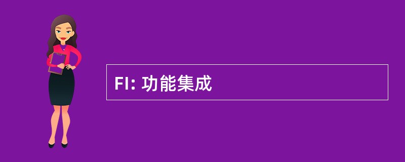 FI: 功能集成