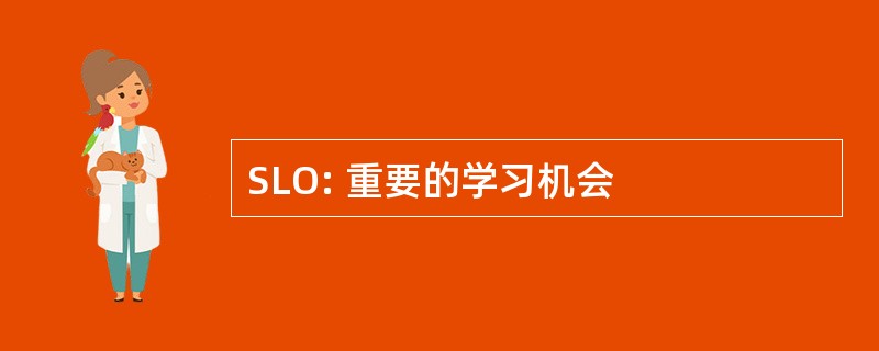 SLO: 重要的学习机会