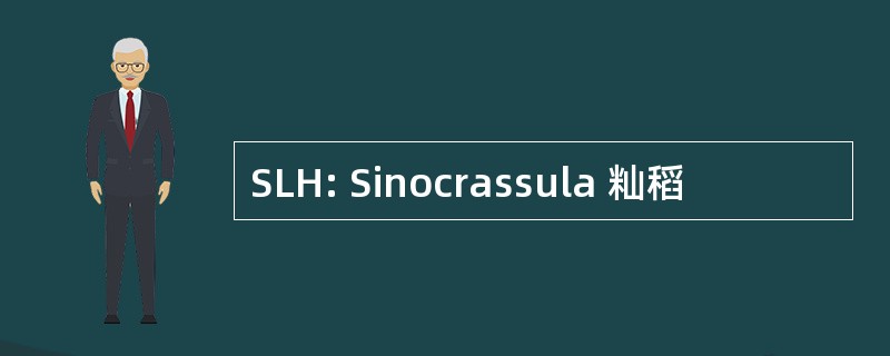 SLH: Sinocrassula 籼稻