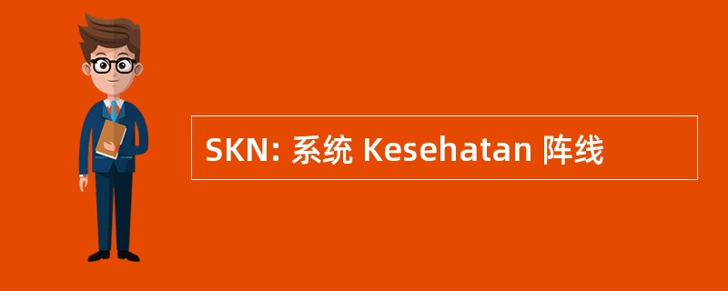 SKN: 系统 Kesehatan 阵线