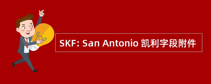 SKF: San Antonio 凯利字段附件