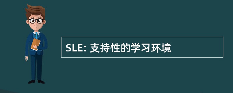 SLE: 支持性的学习环境