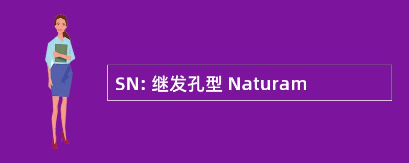 SN: 继发孔型 Naturam