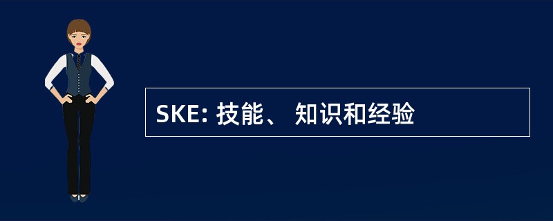 SKE: 技能、 知识和经验