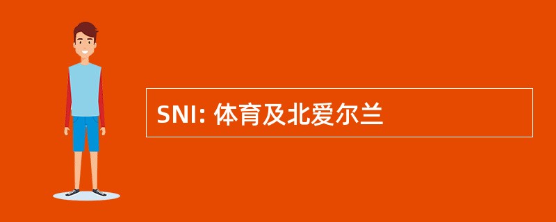 SNI: 体育及北爱尔兰