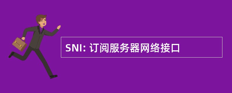 SNI: 订阅服务器网络接口