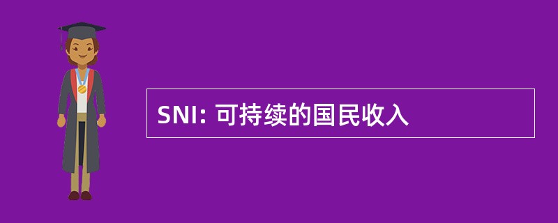 SNI: 可持续的国民收入