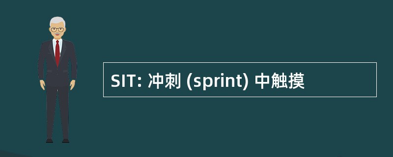 SIT: 冲刺 (sprint) 中触摸