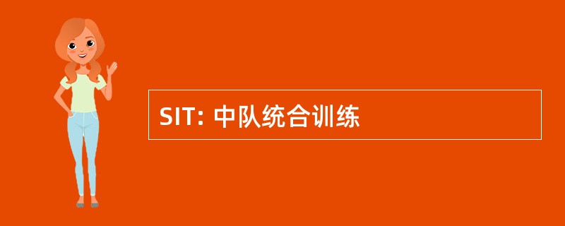 SIT: 中队统合训练