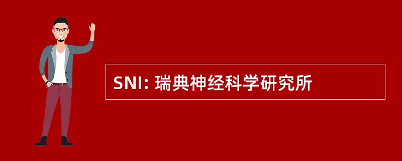 SNI: 瑞典神经科学研究所