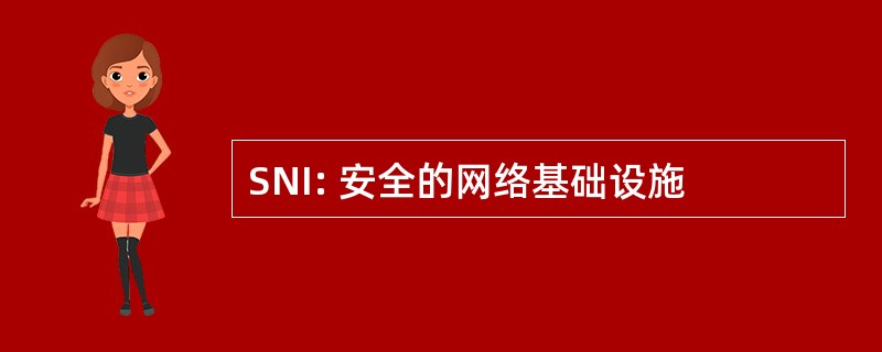 SNI: 安全的网络基础设施