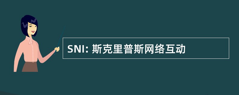 SNI: 斯克里普斯网络互动