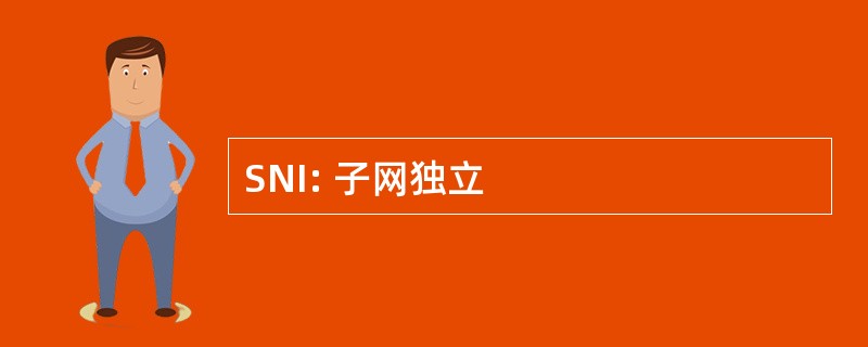 SNI: 子网独立