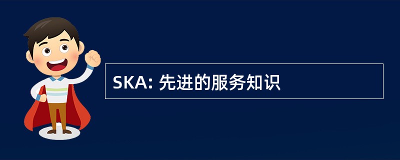 SKA: 先进的服务知识