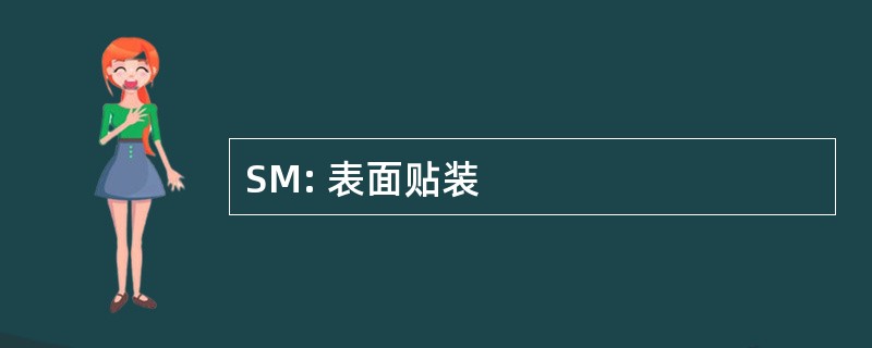 SM: 表面贴装