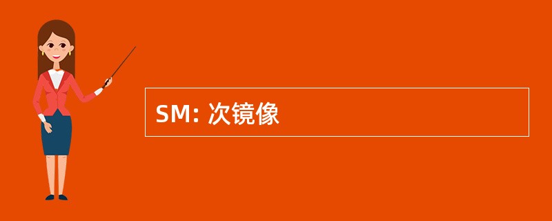 SM: 次镜像