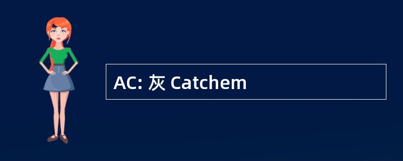 AC: 灰 Catchem