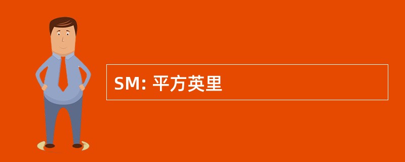 SM: 平方英里