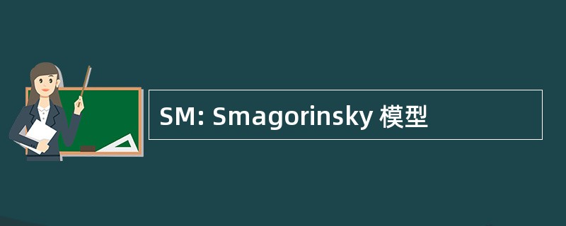 SM: Smagorinsky 模型