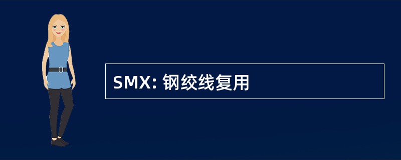 SMX: 钢绞线复用