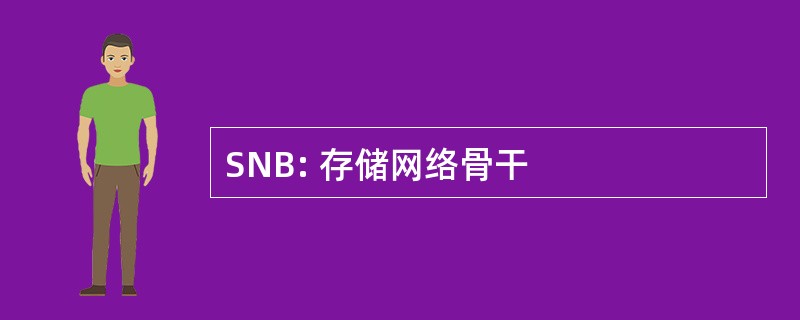 SNB: 存储网络骨干