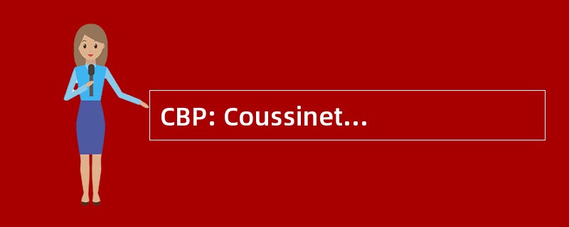 CBP: Coussinets 贝格斯 de Précision