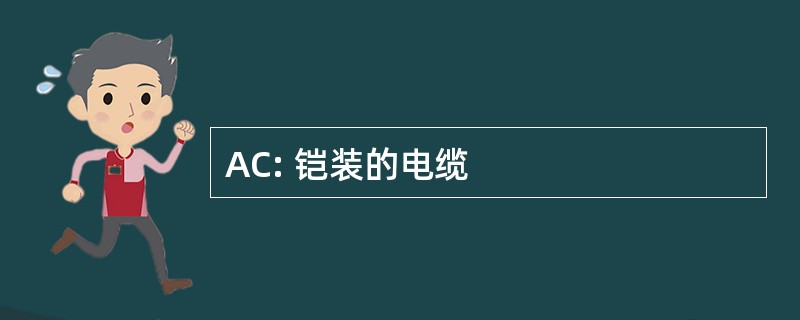 AC: 铠装的电缆